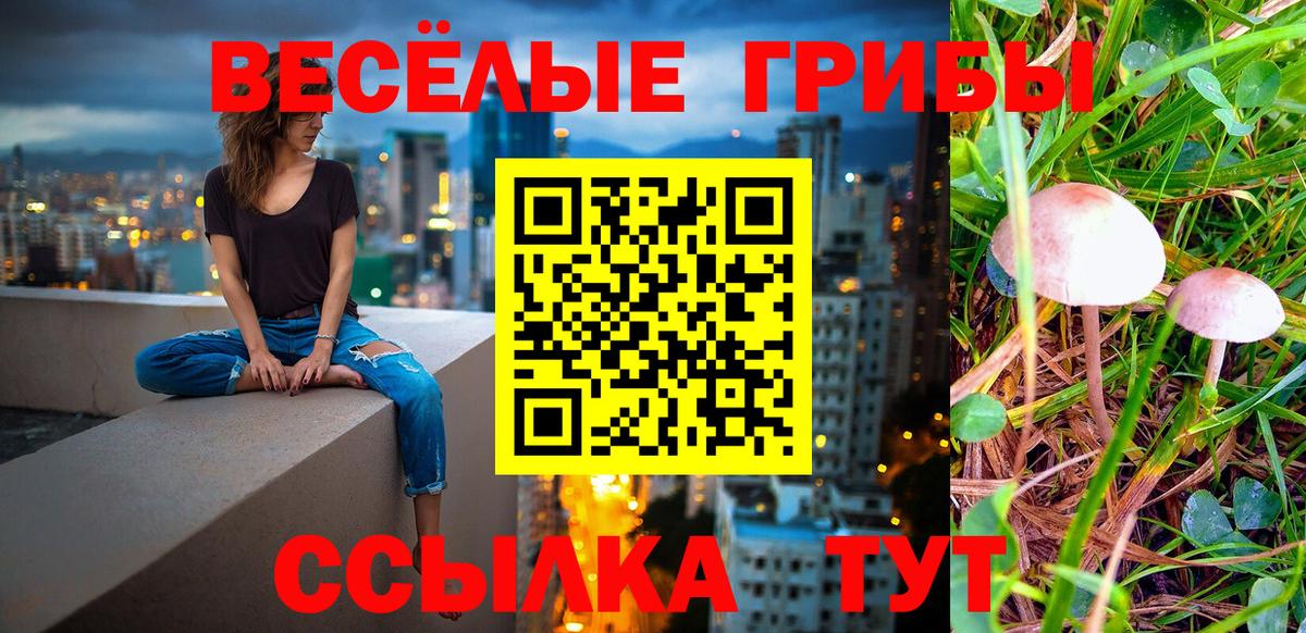 продажа наркотиков  Псилоцибиновые грибы мухоморы  Вход с VPN  Галлюциногенные грибы GOLDEN TEACHER  Златоуст 